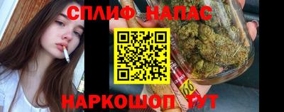 дурь Будённовск