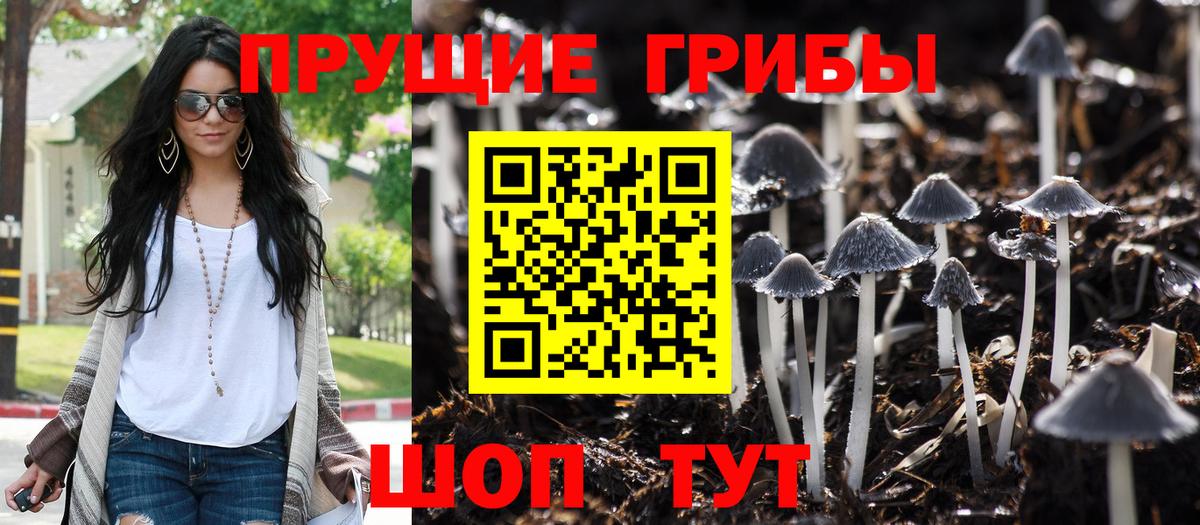Псилоцибиновые грибы GOLDEN TEACHER  Галлюциногенные грибы мицелий  Вход с VPN  Южно-Сахалинск 